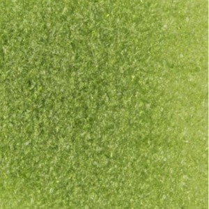 F2/5262 Moss Green Transparent